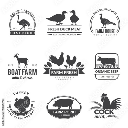 Farm animals logo. Cow sheep goat symbols for fresh healthy food of farmers vector collection. Illustration cow and ostrich farming
