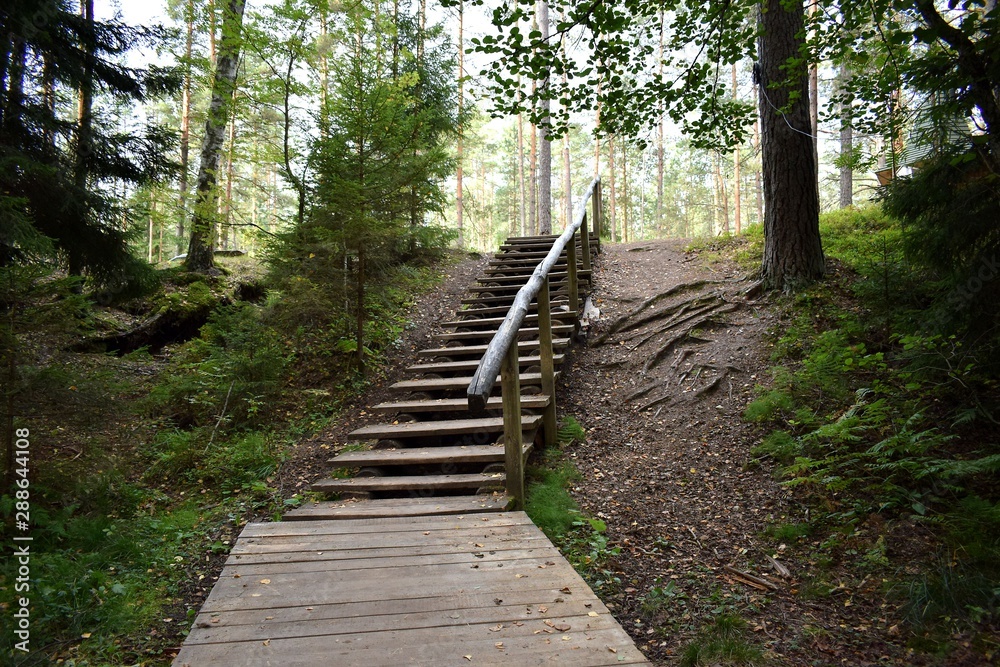 old wooden stairs in the Park