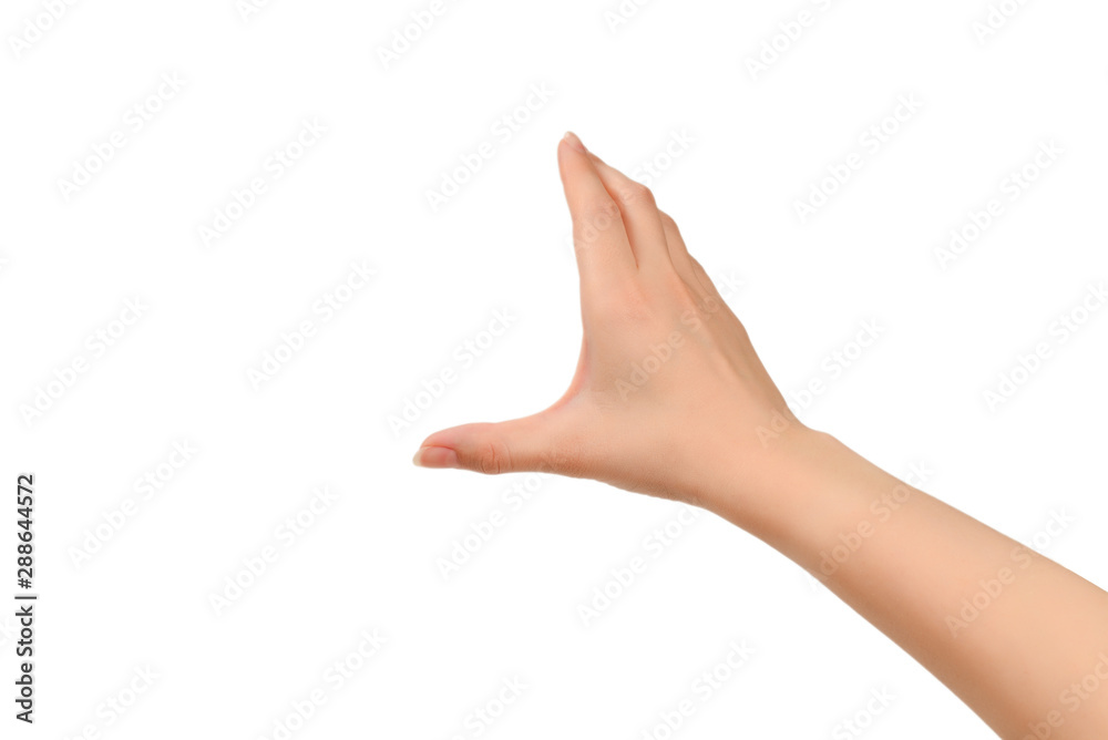 Woman hands wanting or asking for something, copy space. Woman hands wanting or asking for something, copy space.
