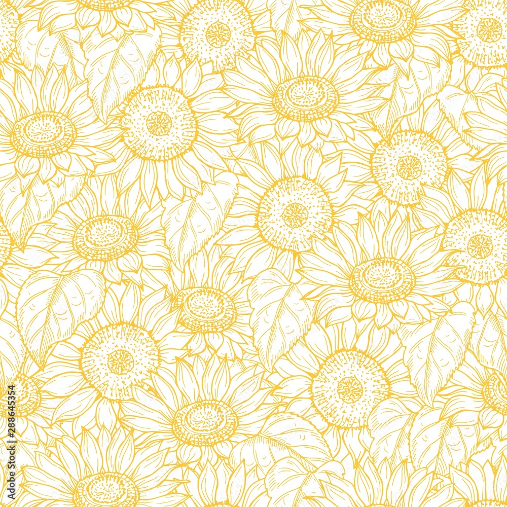 Sunflower seamless pattern. Vector line yellow flowers texture background. Illustration sunflower seamless pattern, floral spring