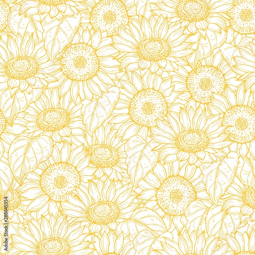 Sunflower seamless pattern. Vector line yellow flowers texture background. Illustration sunflower seamless pattern, floral spring photo
