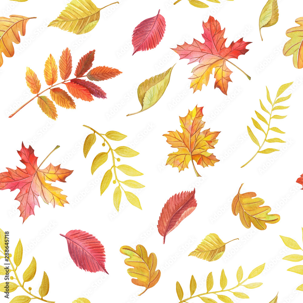 Watercolor leaves maple,birch,oak,Rowan on white background.Seamless pattern.