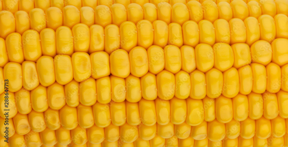 Corn seeds texture, macro, close up of raw yellow corn grains background Corn seeds texture, macro, close up of raw yellow corn grains background
