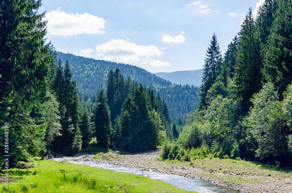 Carpathian landscape, a mountain river flows in the forest. Holidays in the mountains