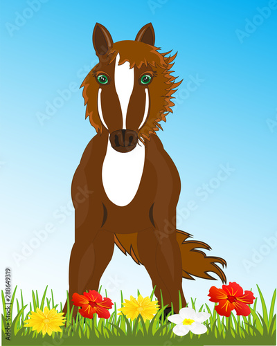 Beautiful sulfuric horse on glade with flower