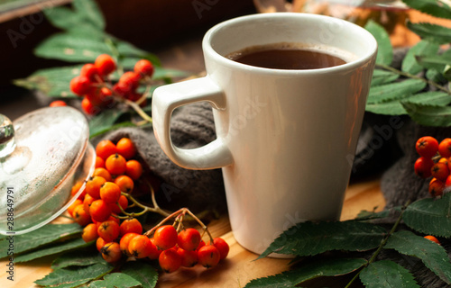 hot autumn tea with Rowan berries and scarf. Warm atmosphere