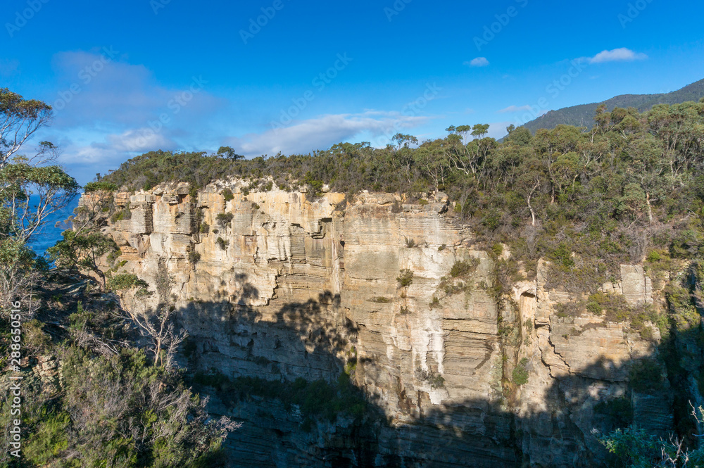 Steep rock cliff covered with eucalyptus trees