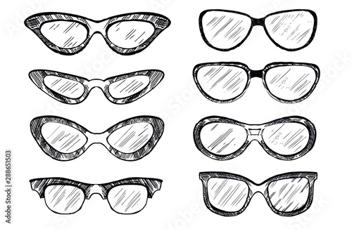 Sunglasses vector hand drawn illustration