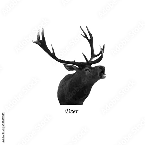 Deer Vector illustration on isolated background
