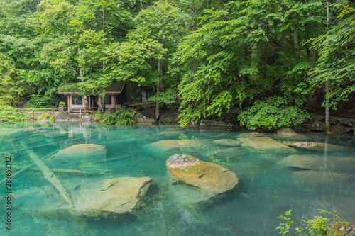 Wunderschöne Erkundungstour durch die Berge der Schweiz. - Blausee/Schweiz photo