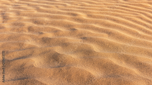 Beautiful clean sand dunes texture © Vastram