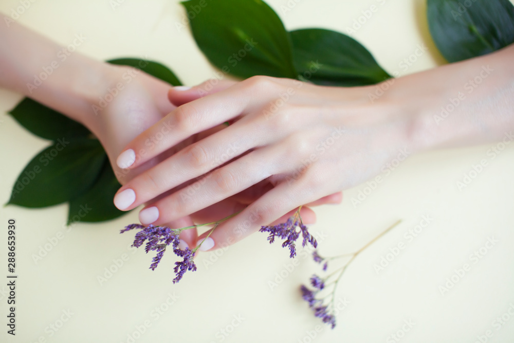 Fototapeta premium pretty perfect woman hands with white manicure and little flowers on colorful background