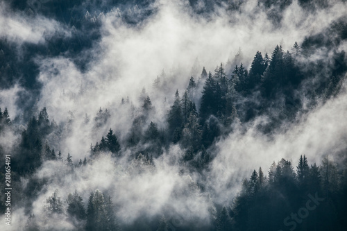 Cuadro en lienzo Dense morning fog in alpine landscape with fir trees and mountains