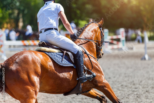 Young male horse rider on show jumping competition