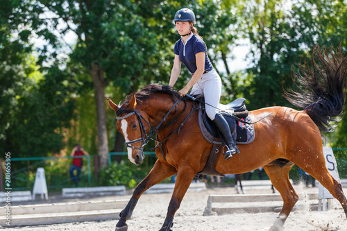 Young female horse rider on equestrian sport event © skumer