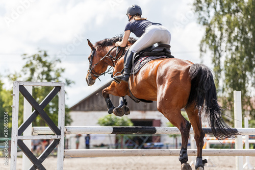 Obraz na płótnie Horse rider woman on show jumping competition