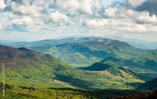 Fototapeta Naklejka Na Ścianę i Meble -  Europe, Poland, Podkarpackie Voivodeship, Bieszczady, Bieszczady National Park. Cloudy wheather, early spring.