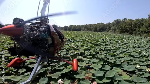 autogyro flight over the fields and lake birds photo