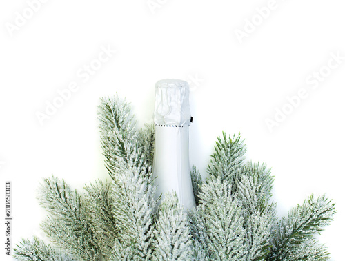 Christmas concept. Sparkling wine bottle and green Xmas tree branch isolated on white