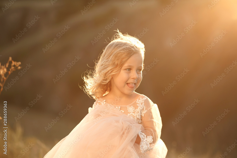 Portrait of a beautiful little princess girl in a pink dress. Posing in a field at sunset Portrait of a beautiful little princess girl in a pink dress. Posing in a field at sunset