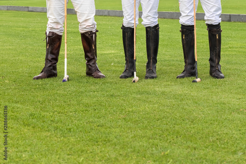 The legs of three male horse polo players in white trousers and special boots for riding a horse. People stand on a green lawn. In hands of athletes hammer for game of horse polo