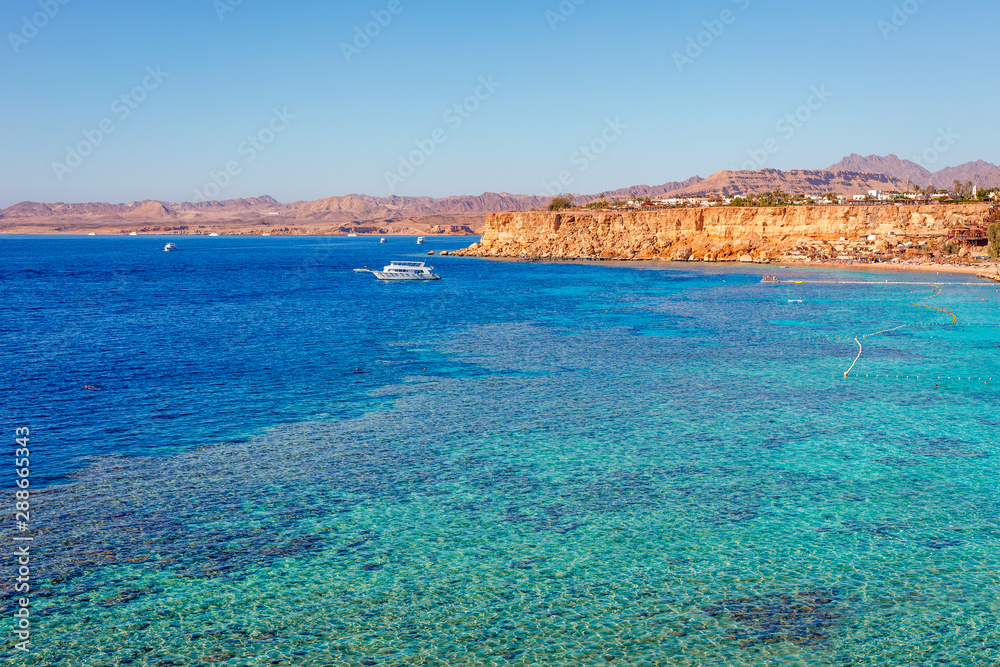 Sunny resort beach with palm tree at the coast of Red Sea in Sharm el Sheikh, Sinai, Egypt, Asia in summer hot. Сoral reef and crystal clear water. Famous tourist destination diving and snorkeling