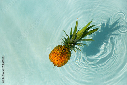 Pineapple in the pool. 