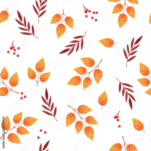 autumn seamless background pattern of golden toned leaves and barries on white background, autumnal repeat print