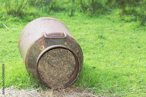 An old milk barrel laying on its side on grass filled with hay with copy space