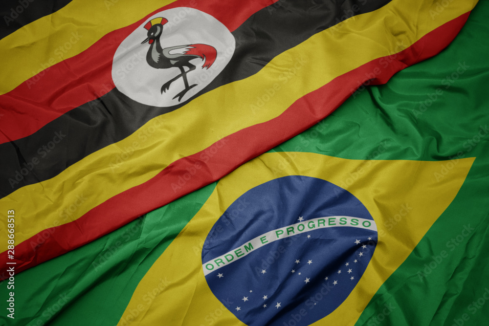 Fototapeta premium waving colorful flag of brazil and national flag of uganda.