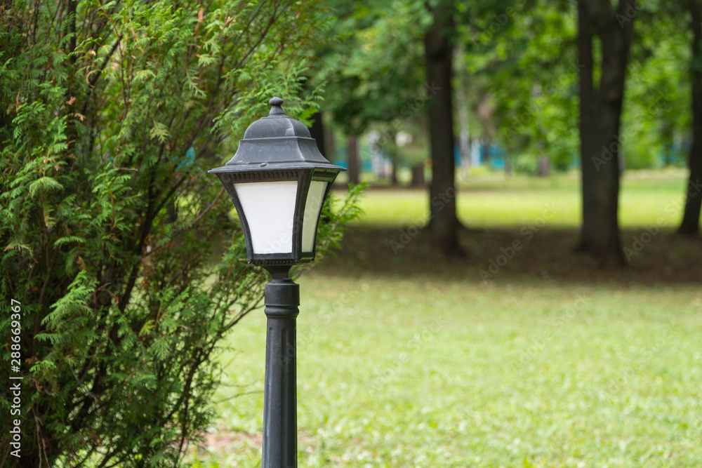 lamppost on the background of trees in the Park