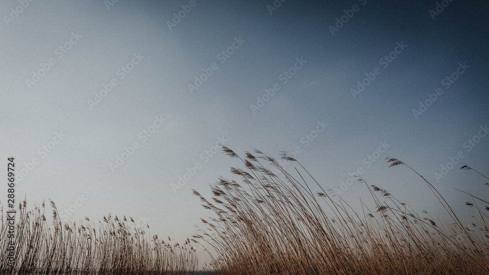 Nordsee, Dangast, Jadebusen, Niedersachsen, Sand, Strand, Muscheln, Wasser, Steg, Friesland, Wolken, Himmel, Horizont, Dünen Nordsee, Dangast, Jadebusen, Niedersachsen, Sand, Strand, Muscheln, Wasser, Steg, Friesland, Wolken, Himmel, Horizont, Dünen