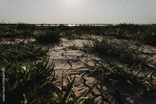 Nordsee  Dangast  Jadebusen  Niedersachsen  Sand  Strand  Muscheln  Wasser  Steg  Friesland  Wolken  Himmel  Horizont  D  nen