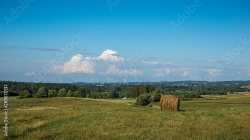 Fototapeta Naklejka Na Ścianę i Meble -  Landscape with masurian meadow, Masuria, Poland