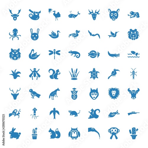 wild icons © TheWaterMeloonProjec