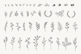 Set of elegant floral elements for graphic and web design. Vector illustrations for beauty, fashion, natural and organic products, spa and wellness, wedding and events, environment. 