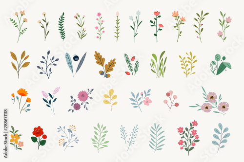 Set of floral elements for graphic and web design. Vector illustrations for beauty, fashion, natural and organic products, spa and wellness, wedding and events, environment.  photo