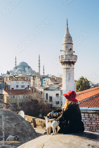 Photography Blond woman stroking a cat on the roof with a view to the mosque, Istanbul, Turkey