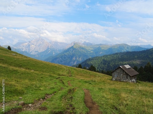 The Seiser Alm / Alpe di Siusi, between the Dolomites, the Woods and the nature of Trentino, near the village of Ortisei, Italy - August 2019.