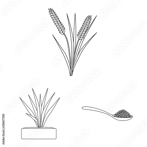 Isolated object of diet and cooking icon. Collection of diet and organic vector icon for stock.