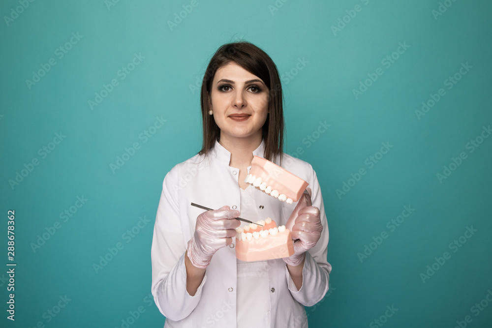 Female dentist with jaw isolated in the blue studio Female dentist with jaw isolated in the blue studio