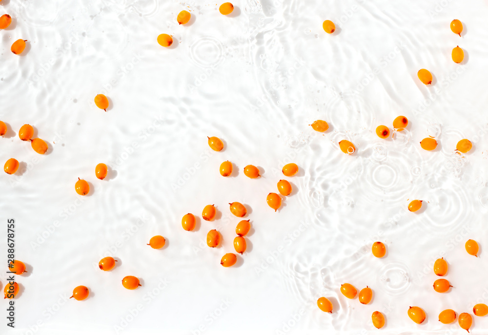 Organic sea buckthorn berries in water on the white background. Top view Organic sea buckthorn berries in water on the white background. Top view