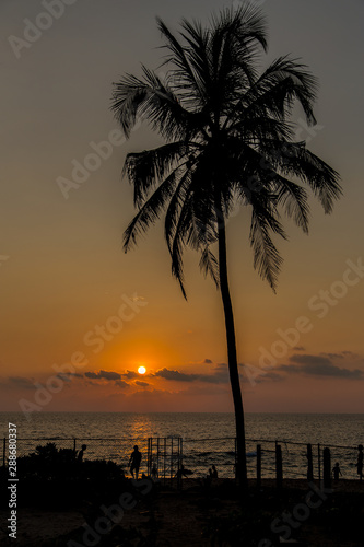  Sunset on the beach in the sea against the silhouette of a palm tree. 