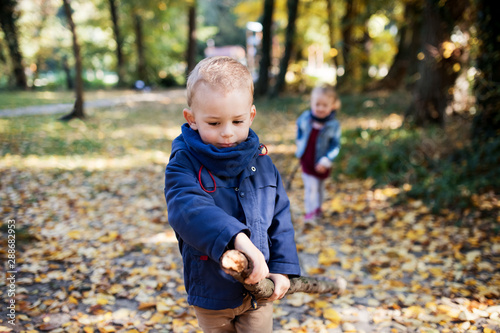 Twin toddler sibling boy and girl walking in autumn forest.