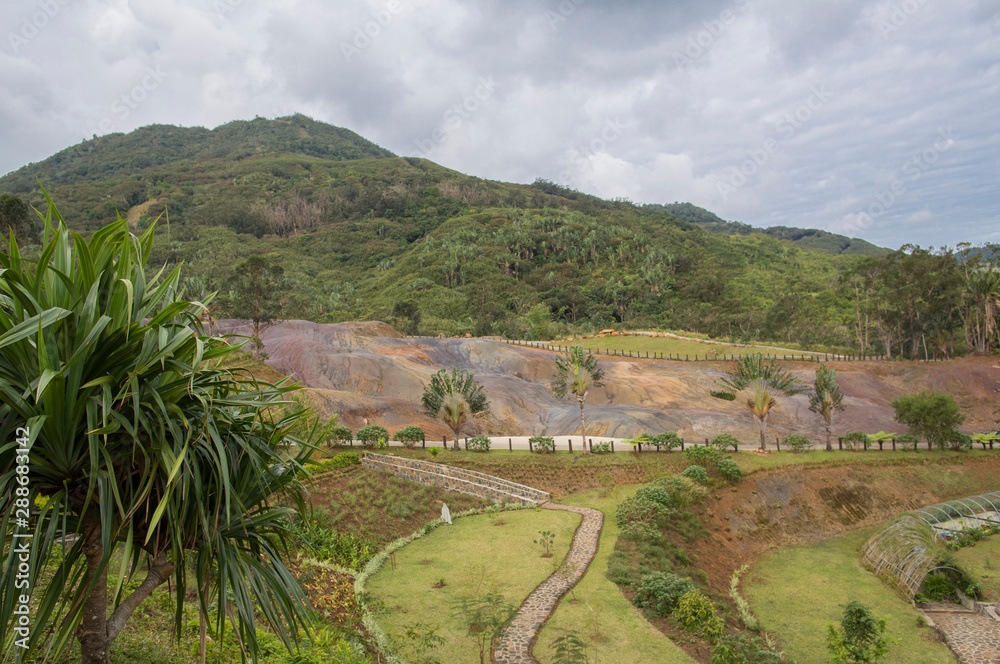 Obraz premium summer landscape african savannah in Mauritius