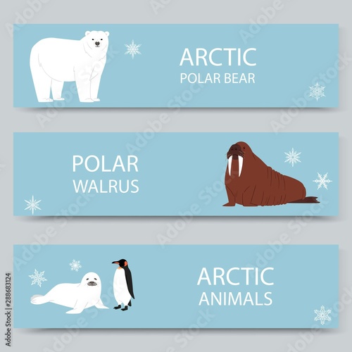 Arctic animals and north pole cartoon banners set, vector illustration. Antarctica and North Pole arctic animals, white bear, penguin, morse and furseal. photo
