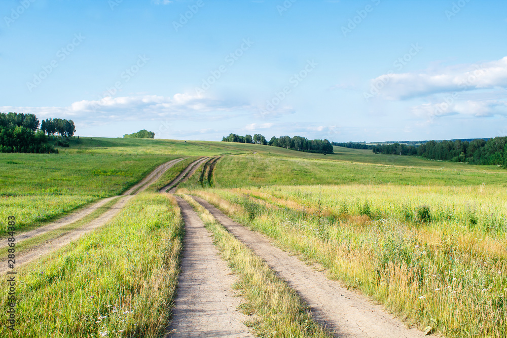 dirt road in the field