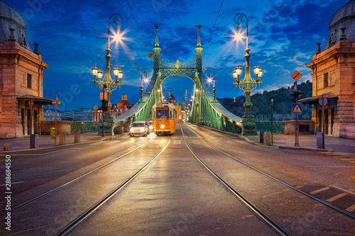 Photography Liberty Bridge, Budapest