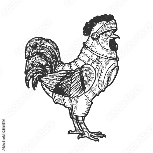 Rooster cock bird in knight armor sketch engraving vector illustration. Tee shirt apparel print design. Scratch board style imitation. Black and white hand drawn image.