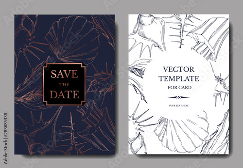 Vector Summer beach seashell tropical elements. Engraved ink art. Wedding background card decorative border.